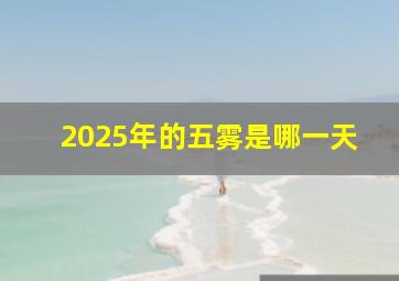 2025年的五雾是哪一天