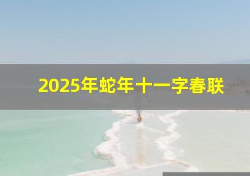 2025年蛇年十一字春联