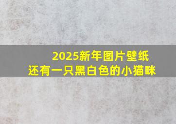 2025新年图片壁纸还有一只黑白色的小猫咪