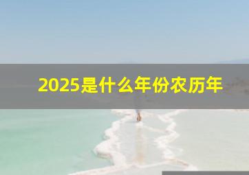 2025是什么年份农历年