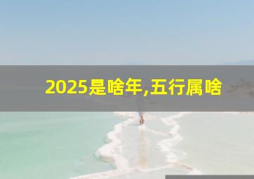 2025是啥年,五行属啥