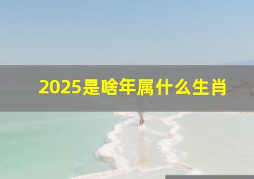 2025是啥年属什么生肖