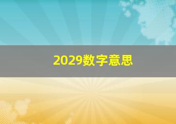 2029数字意思