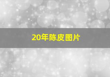 20年陈皮图片