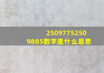 25097752509885数字是什么意思