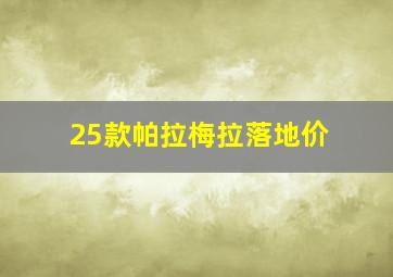 25款帕拉梅拉落地价