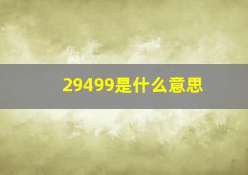 29499是什么意思