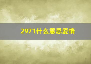 2971什么意思爱情