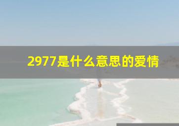 2977是什么意思的爱情