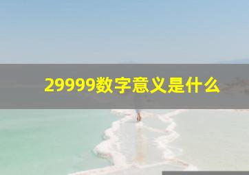 29999数字意义是什么