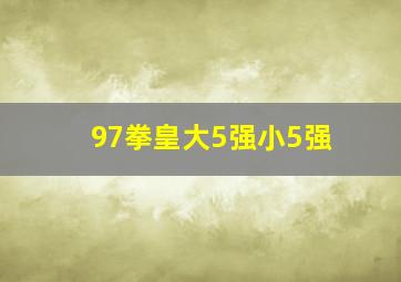 97拳皇大5强小5强