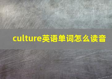 culture英语单词怎么读音