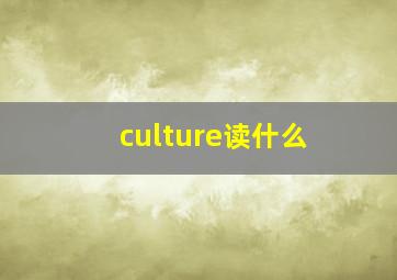 culture读什么