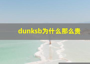 dunksb为什么那么贵