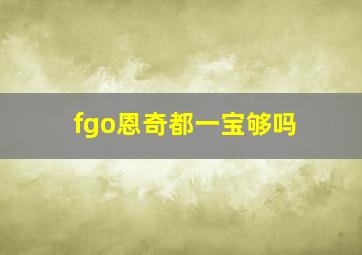 fgo恩奇都一宝够吗