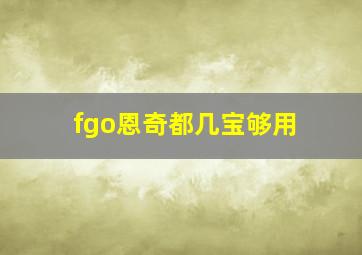 fgo恩奇都几宝够用