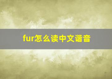 fur怎么读中文谐音