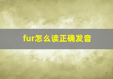 fur怎么读正确发音