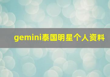 gemini泰国明星个人资料