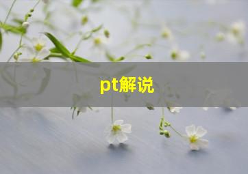 pt解说