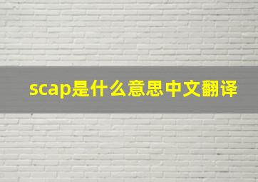 scap是什么意思中文翻译