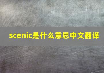 scenic是什么意思中文翻译