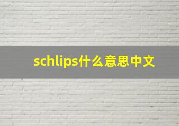 schlips什么意思中文