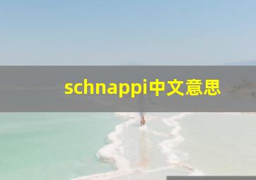 schnappi中文意思