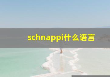 schnappi什么语言