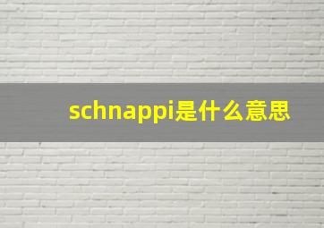 schnappi是什么意思