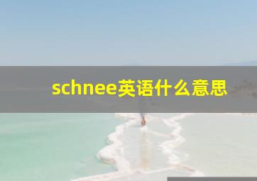 schnee英语什么意思