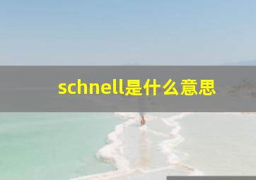 schnell是什么意思