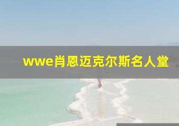 wwe肖恩迈克尔斯名人堂