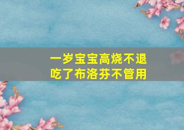 一岁宝宝高烧不退吃了布洛芬不管用