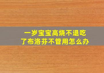 一岁宝宝高烧不退吃了布洛芬不管用怎么办