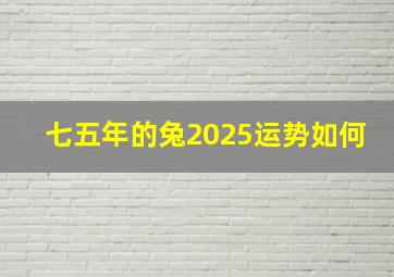 七五年的兔2025运势如何