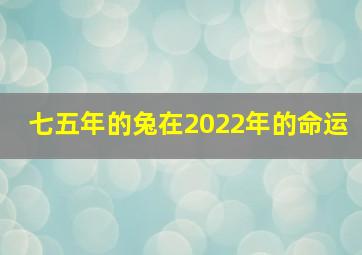 七五年的兔在2022年的命运