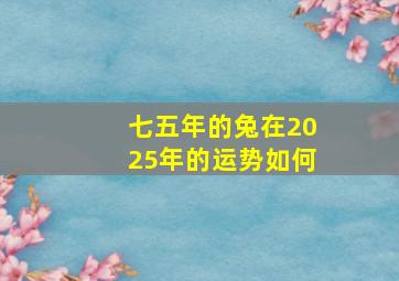 七五年的兔在2025年的运势如何