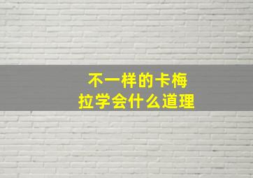 不一样的卡梅拉学会什么道理