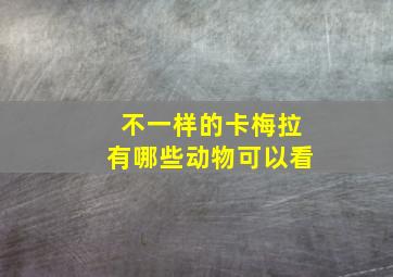 不一样的卡梅拉有哪些动物可以看