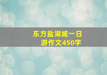 东方盐湖城一日游作文450字