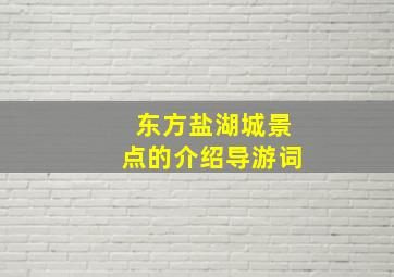 东方盐湖城景点的介绍导游词