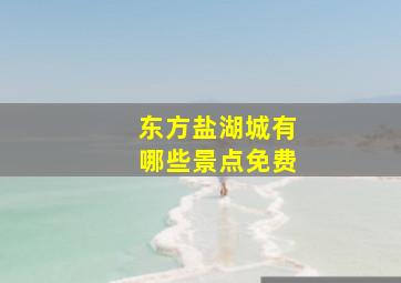 东方盐湖城有哪些景点免费