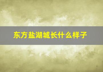 东方盐湖城长什么样子