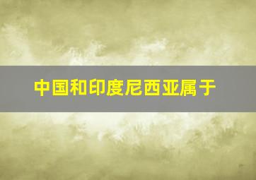 中国和印度尼西亚属于