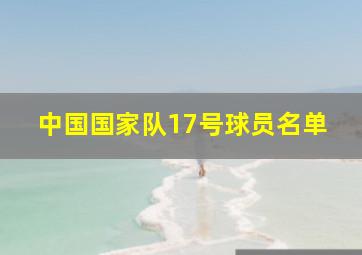 中国国家队17号球员名单