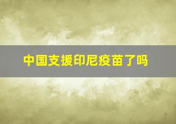 中国支援印尼疫苗了吗