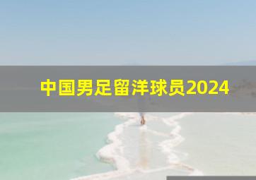 中国男足留洋球员2024