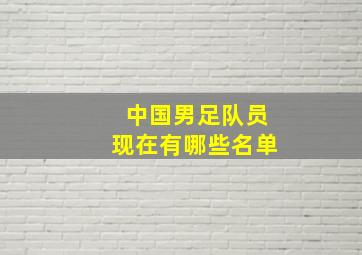 中国男足队员现在有哪些名单