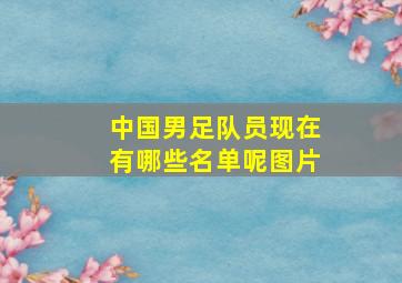 中国男足队员现在有哪些名单呢图片